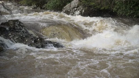 Slow motion rapids Stock Footage 171766986