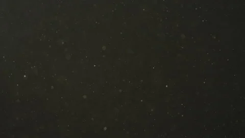Slow motion real dust particles floating in the air with natural sunlight over Stock Footage 195806471