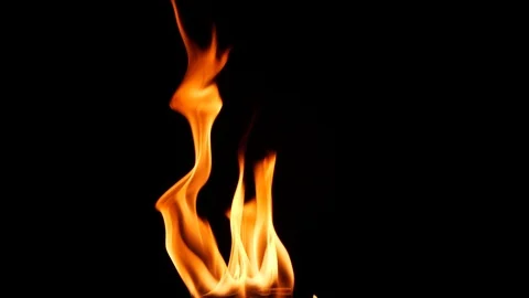 Slow motion real fire flame burning on black background, close-up bonfire Stock Footage 125387522