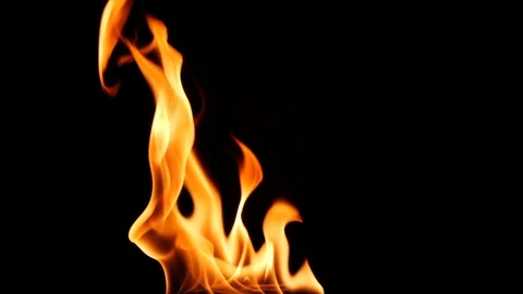 Slow motion Real fire flame, bonfire igniting and burning on black background Stock Footage 125560651