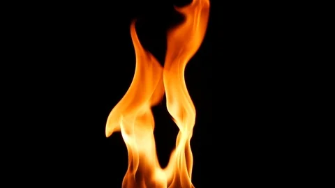 Slow motion real fire flame, bonfire igniting and burning on black background Stock Footage 125560667