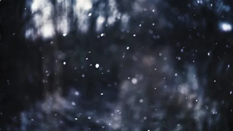 Slow motion of real snow falls on dark forest background It is snowing in winter Stock Footage 166411670