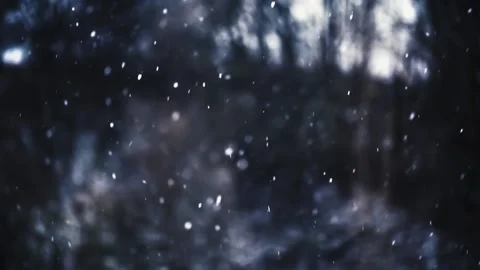 Slow motion of Real snow falls in frozen winter forest background, It is snowing Stock Footage 167939406