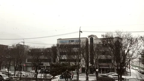 Slow motion - real time video clips, the first snow of this winter. Stock Footage 84649523