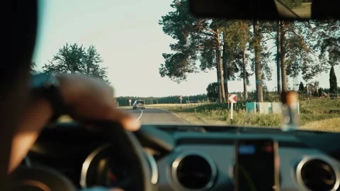 Slow motion. Rear View to young man enjoying traveling in the car while sunset Video stock 205855936