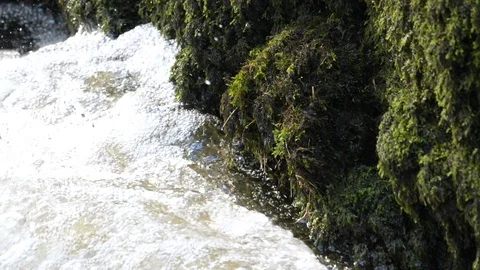 Slow motion recently completed dippers nest being flooded by rising river Video stock 108055030