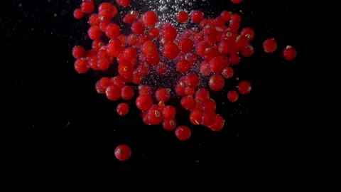 Slow motion red berries are immersed in water Stock Footage 182485898