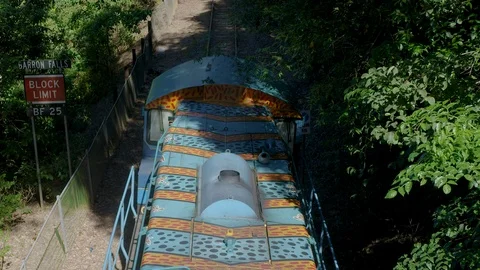 Slow motion, Red Camera: The Ulysses butterfly flutters above the Kuranda rail Stock Footage 114421070