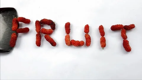 Slow motion of red mulberry fruit Video stock 289969266