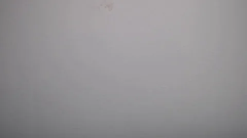 Slow motion, red orange slices falling into the water, side view. Stockbeeldmateriaal 124519612