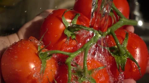 Slow Motion Red Tomatoes washed under water stream Stock Footage 68672903