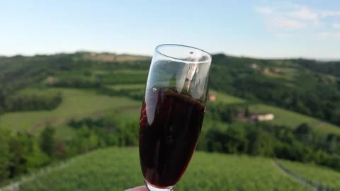 Slow Motion Red Wine Swirling and Spilling in Vineyard Landscape Stock Footage 336522527