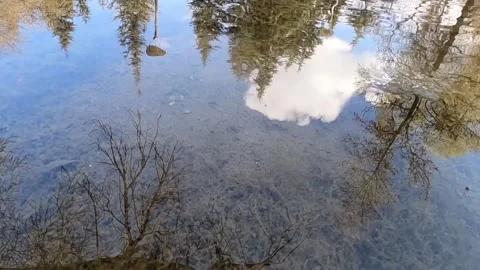 Slow motion reflection of cloud and trees in the water Stock Footage 182378958