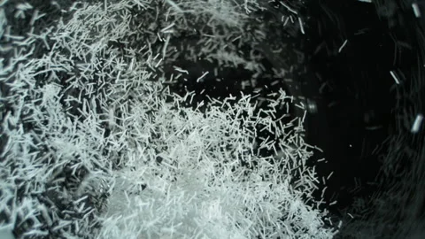 Slow Motion Rice storm Stock Footage 253061103