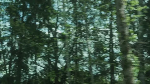Slow Motion Ride Past Trees – Tranquil Countryside View Stock Footage 308396698
