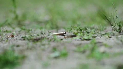 Slow Motion Rifle Shell Casing Falling onto Ground During Outdoor Military 库存影片 307274611
