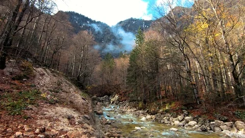 Slow motion right pan tilt up Alpine yellow stream flowing in valley Stock Footage 122769154