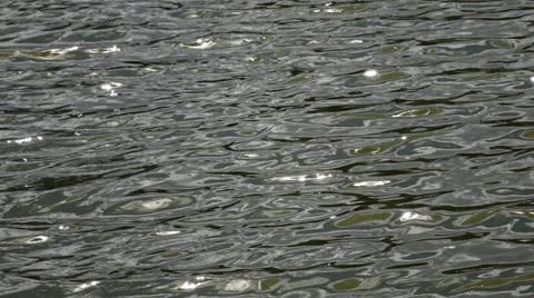 Slow motion of ripple on grey and green water with play of flecks of sunshine. Stock Footage 66519693