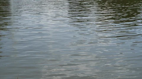 Slow motion, ripple surface water in nature morning day Stock Footage 113405060