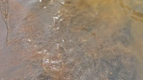 Slow motion ripples of clear and sparkling river water surface on sandy rive Stock Footage 320977207