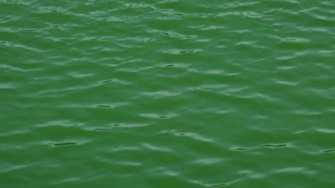 Slow motion ripples on the surface of the lake water that move gently. Stock Footage 292192053