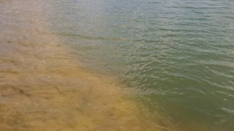 Slow motion ripples on the surface of the lake water moving gently Stock Footage 320056291