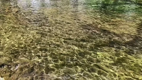 Slow Motion of Ripples on the Water Surface Stock Footage 310427476