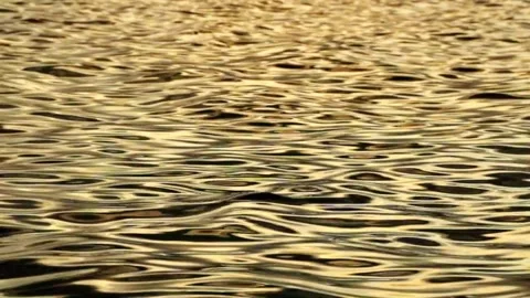 Slow motion ripples of waves on the surface of a calm golden lake at sunset Stock Footage 320030429