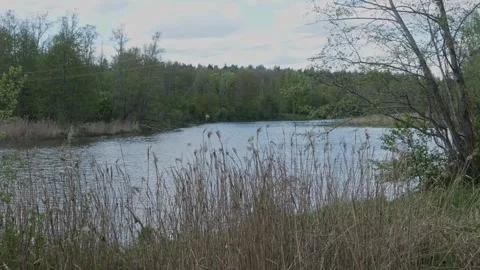 Slow Motion River and Meadow – Serene Spring Landscape Stock Footage 308396880
