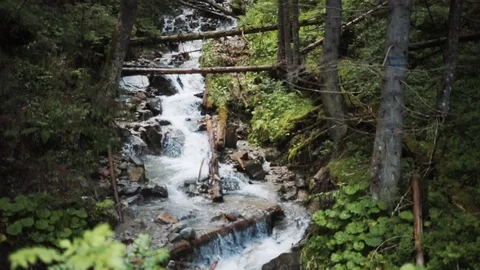 Slow motion river and waterfall in mountains in slow motion nature forest Stock Footage 94532684