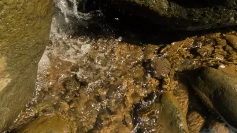 Slow motion of a river cascade with clear water Video stock 321860064