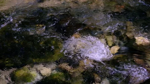 Slow motion of a river current in a natural park. Foreground 库存影片 141601886