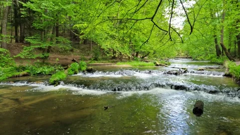 Slow Motion River Flow in Lush Green Forest – Enhanced Nature Scene in 4K Stock Footage 311832444