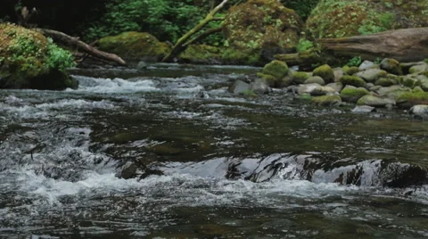 Slow motion river flowing Video stock 44352094