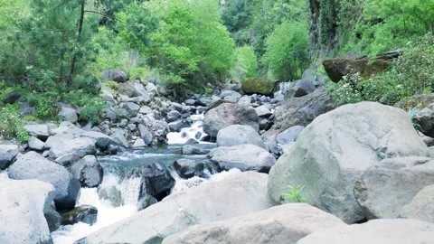 Slow motion river flowing through a rocky forest canyon Видео 333696074