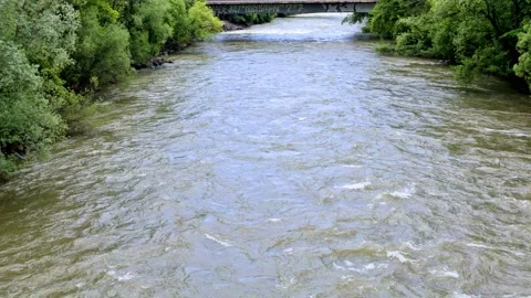 Slow Motion River flowing water in the Summer Nature Landscape Stock Footage 131124008