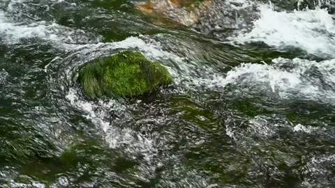 Slow motion of river flows in nature. The source of a mountain river. Stock Footage 313735995