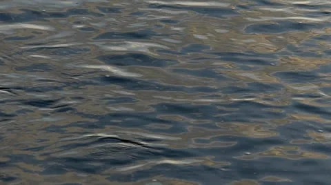 Slow motion river Stock Footage 24922628