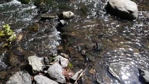 Slow Motion River Stock Footage 91185344