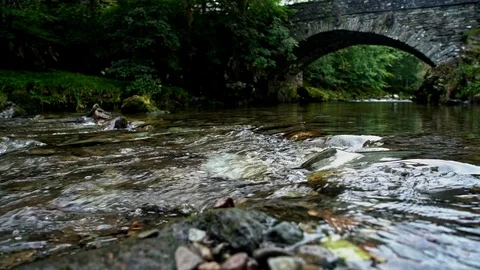 Slow motion river Stock Footage 124198460