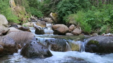 Slow motion river footage Stock Footage 134809333