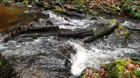 Slow Motion River At Karlstal Germany Stock Footage 85704656