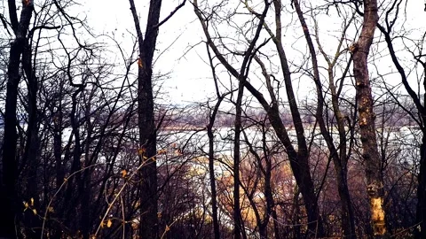 Slow Motion River Overlook Stock Footage 232652373