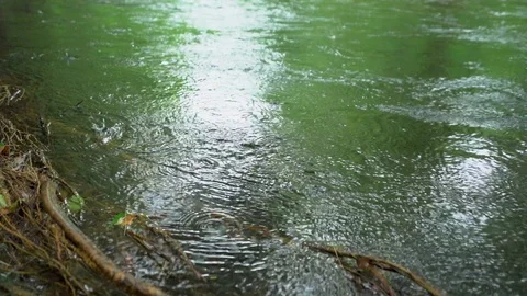 Slow motion river rain drops Stock Footage 112146875