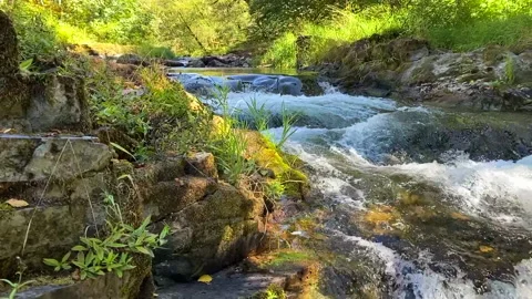 Slow Motion River Rapid Scenic Video stock 141700624