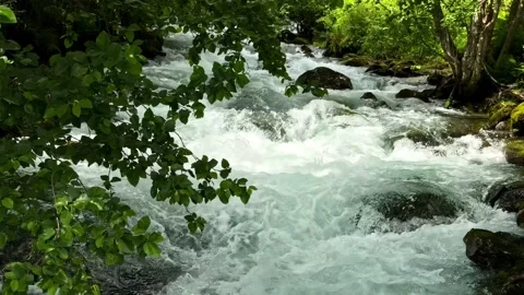 Slow Motion River Rapids Rushing Through Forest Near Flam Norway Stock Footage 341537927