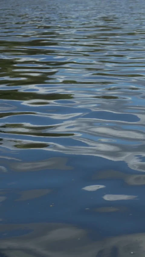 Slow Motion River Reflection of Trees Stock Footage 308389556