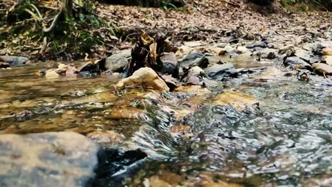 Slow motion river rock hd Video stock 162977355