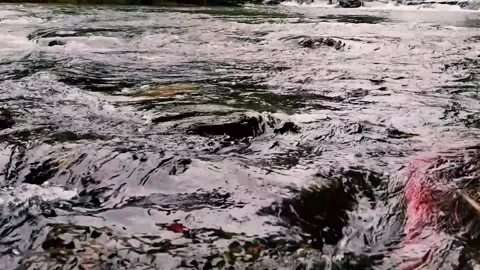 Slow motion River Rocks Video stock 162629418