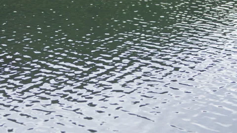 Slow motion of river stream rippling in light morning breeze on cloudy day Stock Footage 208763434